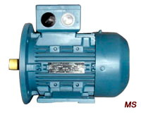 MS Series Three-Phase Asynchronous Motor With Aluminium Housing