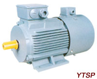 YTSP Series VVVF Adjustable speedThree-Phase motor