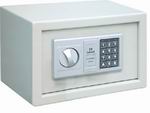 Electronic safe