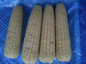 IQF corn 