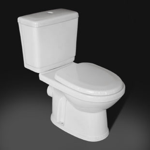 Washdown Close-coupled Toilet