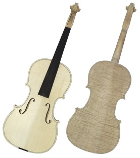 TypeA White Violin