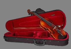 Student violin (50.00 USD /pc)