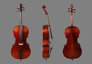 Professional Cello Jd-02