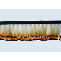 Pheasant Feather 