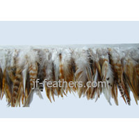 Goose Feather