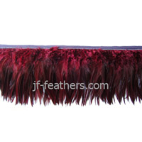 Duck Feather