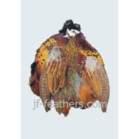 Pheasant skin