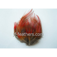 Turkey feather Craft