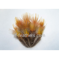 Turkey feather Craft