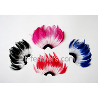 Feather decoration product