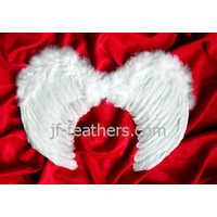 Feather angel wing