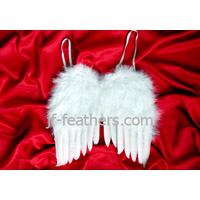 Feather angel wing