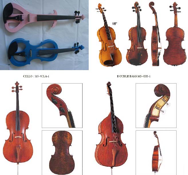 violin, electric violin, viola, cello, double bass