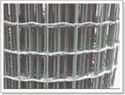 Welded Wire Mesh