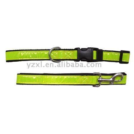 Night Safe dog leash