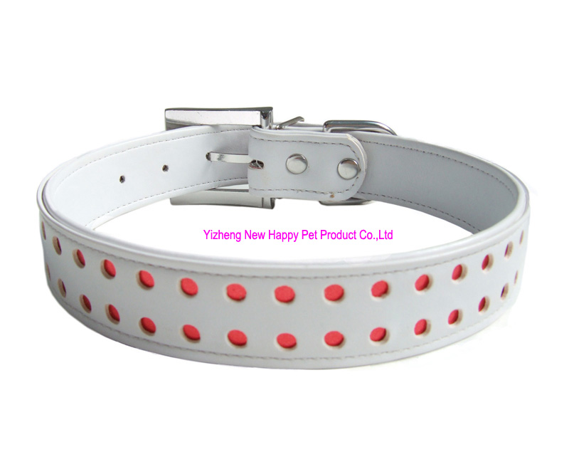 Pet Collar