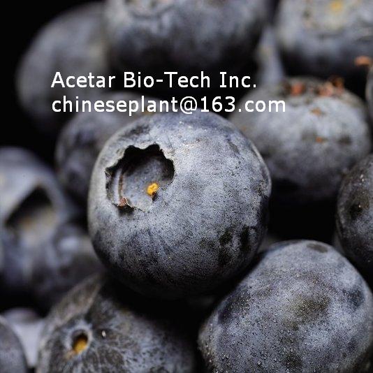 Bilberry Extract   (water soluble)