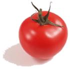 lycopene