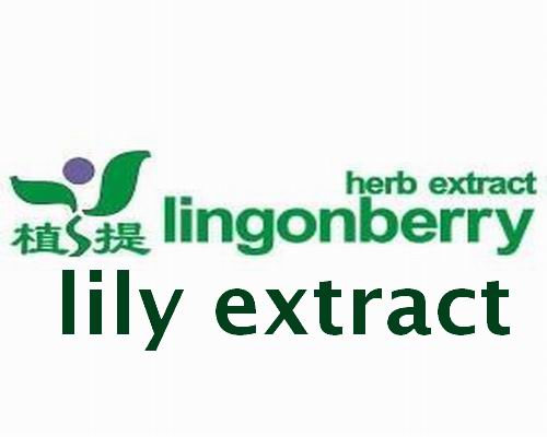 lily extract