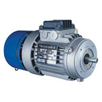 BRAKE MOTORS