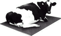 Cow Mats