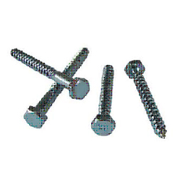 Wood Screw