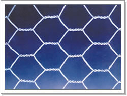 hexagonal wire mesh