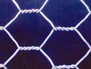 Hexagonal Wire Mesh/wire mesh