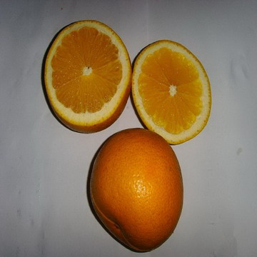 Navel Orange