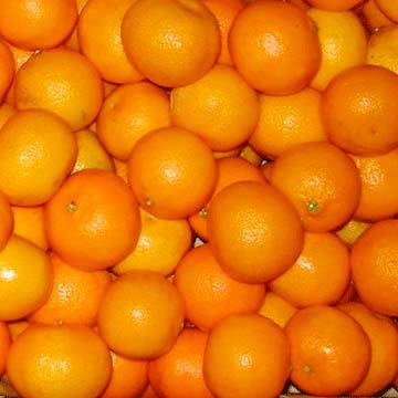 mandarin