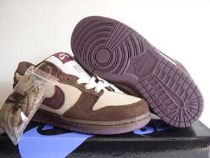 Dunk SB shoes