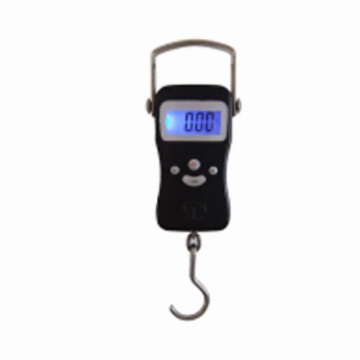 fishing scale