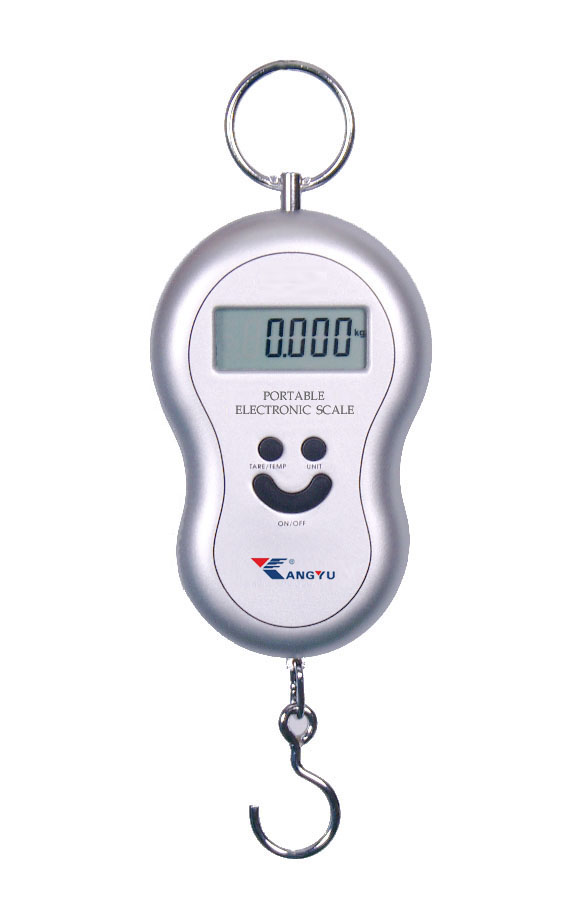 fishing scale