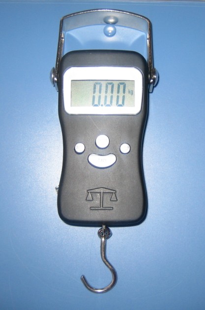 fishing scale