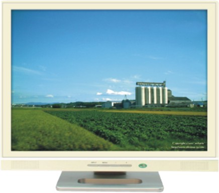 19 inch LCD TV/monitor