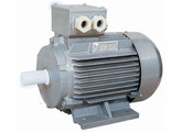 Y2 series(IP54) three-phase motor