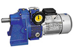 Combination of Speed Variator & gear reducer