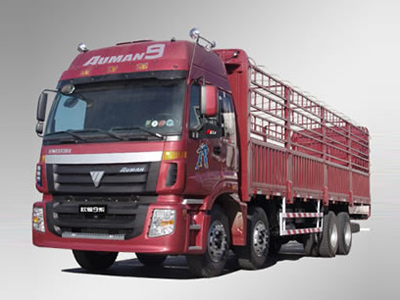 FOTON truck parts for Iran market