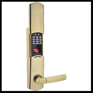 ZKS-L2G Fingerprint Door Lock 