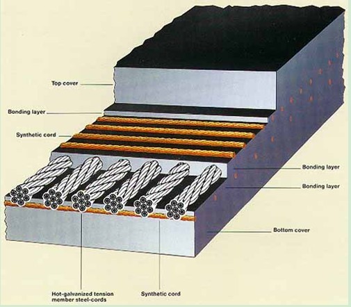 Steel cord conveyor belt
