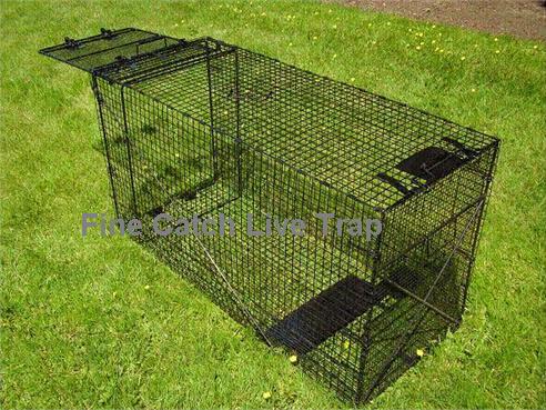 Folding Dog Trap for hunting