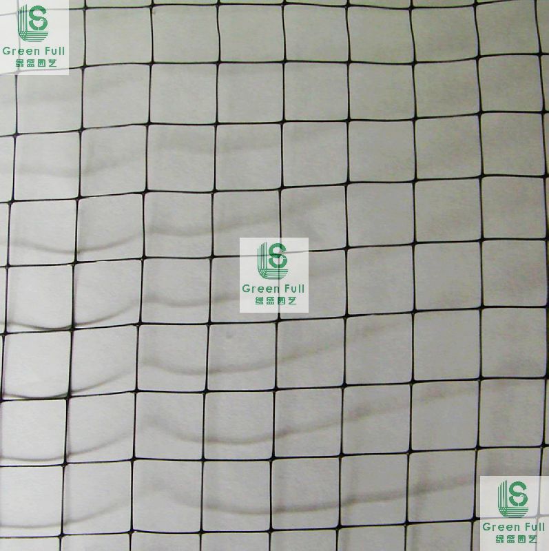 strong good quality anti bird net 
