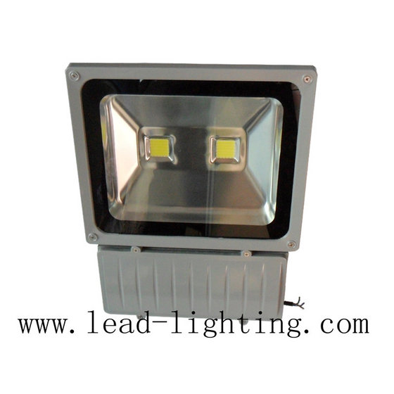 LED Flood Light Heat Emisssion CE&RoHS Passed