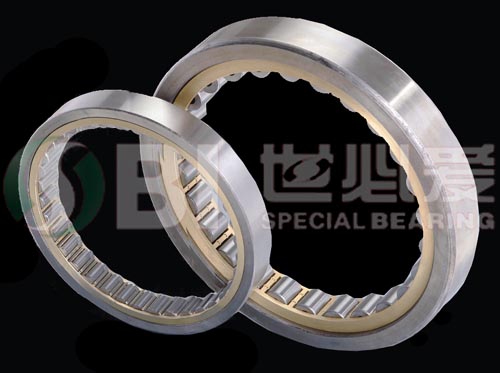 Cylindrical Roller Bearings