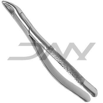 Tooth Extracting Forcep