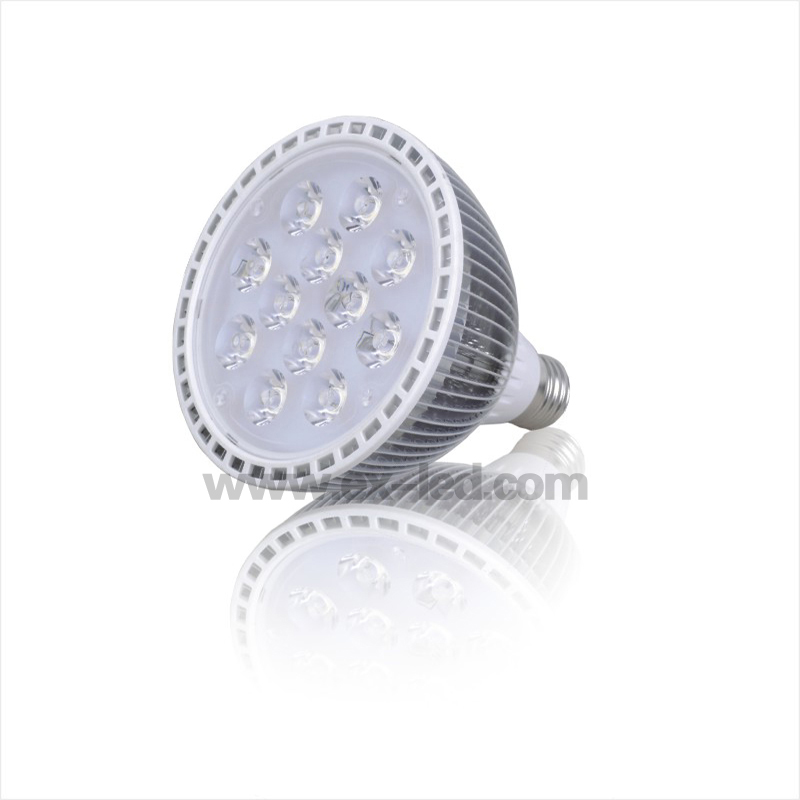 12x1w PAR38 LED Sporlight (EX-PAR38-DP12V15)