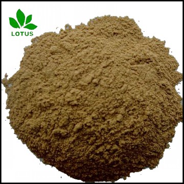 Seabird Guano Phosphate for organic fertilizer P2O5 32%