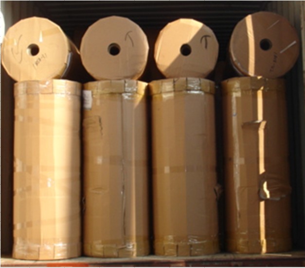 PE woven coated roll(Jumbo roll)