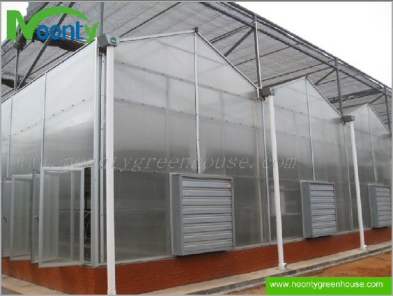 Venlo Polycarbonate (PC) Greenhouse